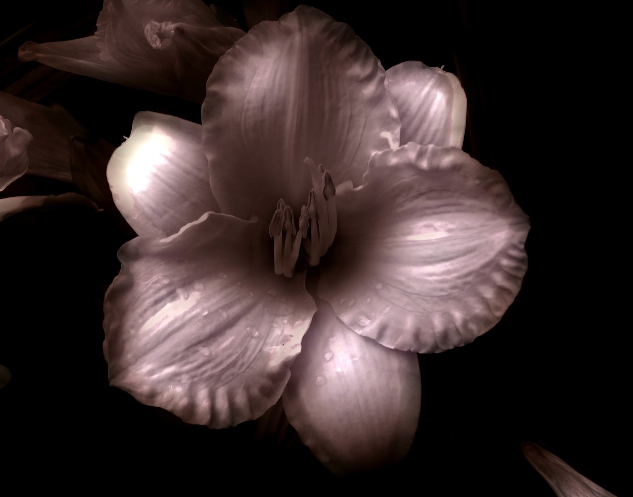 İsimsiz,2019,(fotoğraf) by Alex Caminker