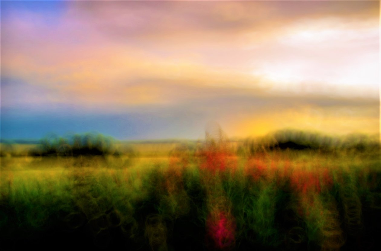 palet,2019,(fotoğraf) by Alex Caminker