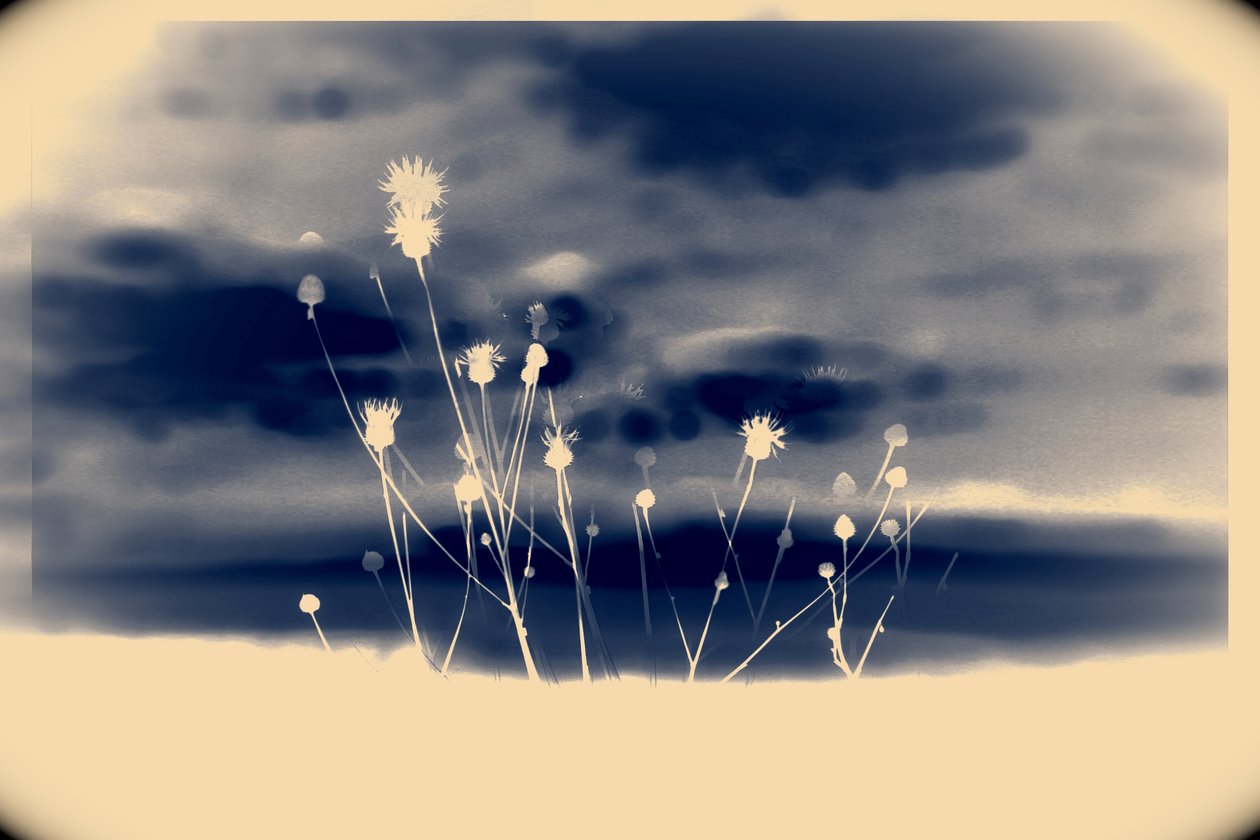 uzay,2019,(fotoğraf) by Alex Caminker