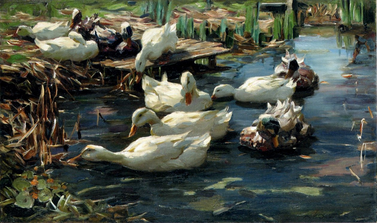 Havuzdaki Ördekler by Alexander Koester