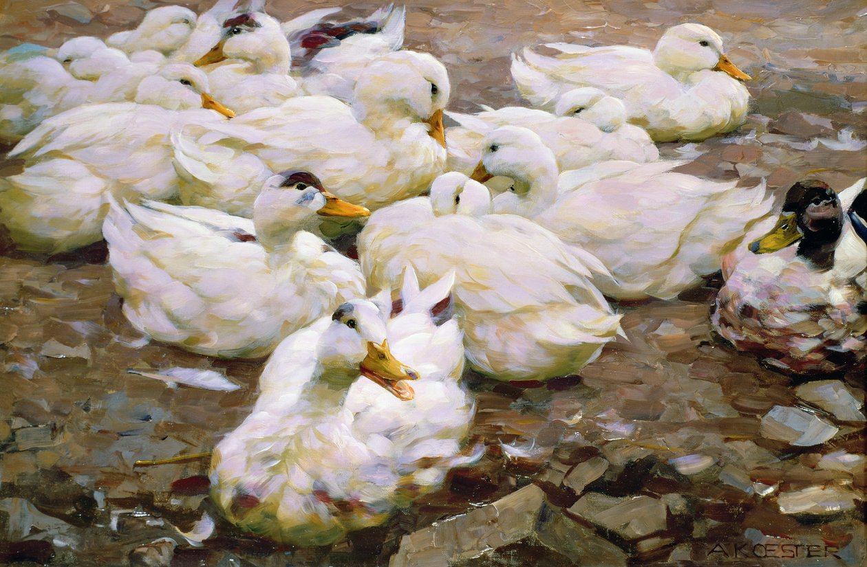Bir gölet üzerinde ördekler by Alexander Koester