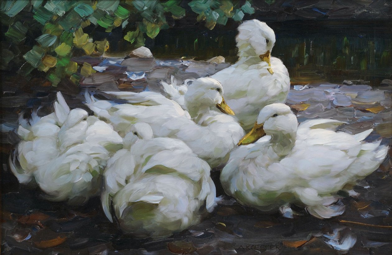 Beş dinlenme beyaz ördek by Alexander Koester