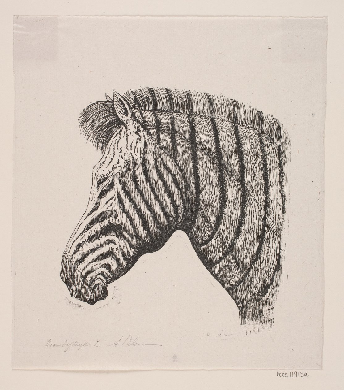 Bir Zebra Başkanı by Alexander Blom