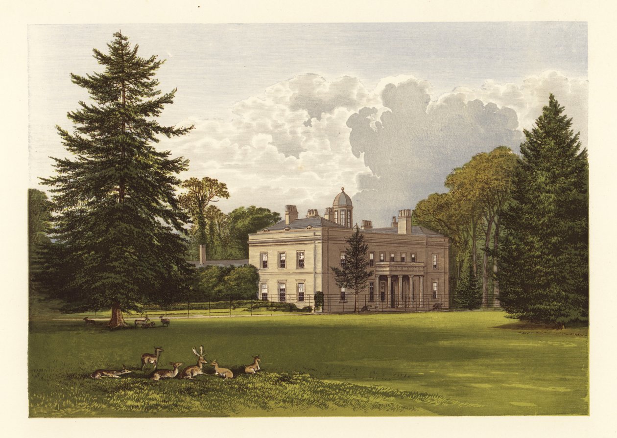 Brockley Salonu, Somersetshire, İngiltere. by Alexander Francis (after) Lydon