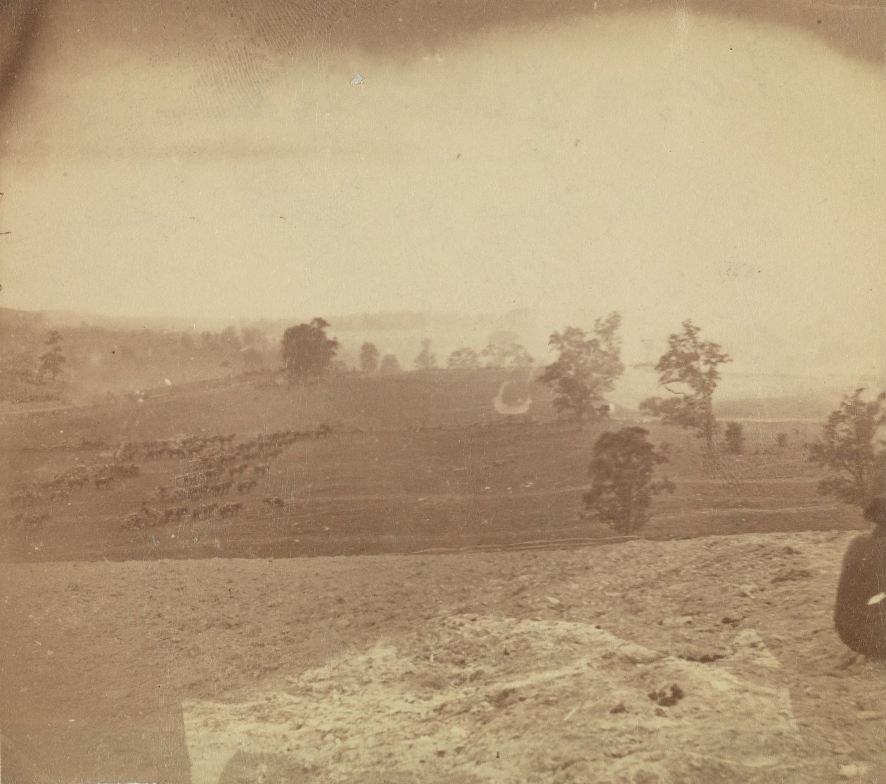 [Antietam Savaş Alanı], 1862. by Alexander Gardner