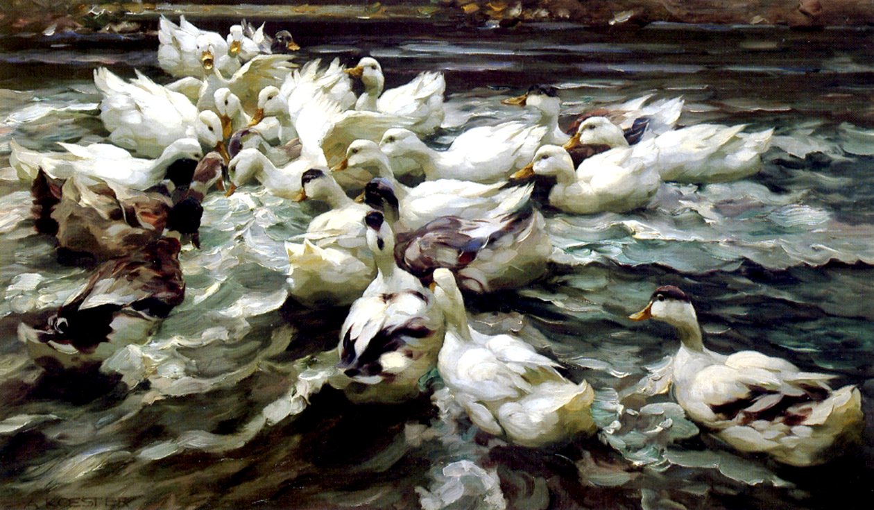 Ördek Buluşması (tuval üzerine yağlı boya) by Alexander Koester