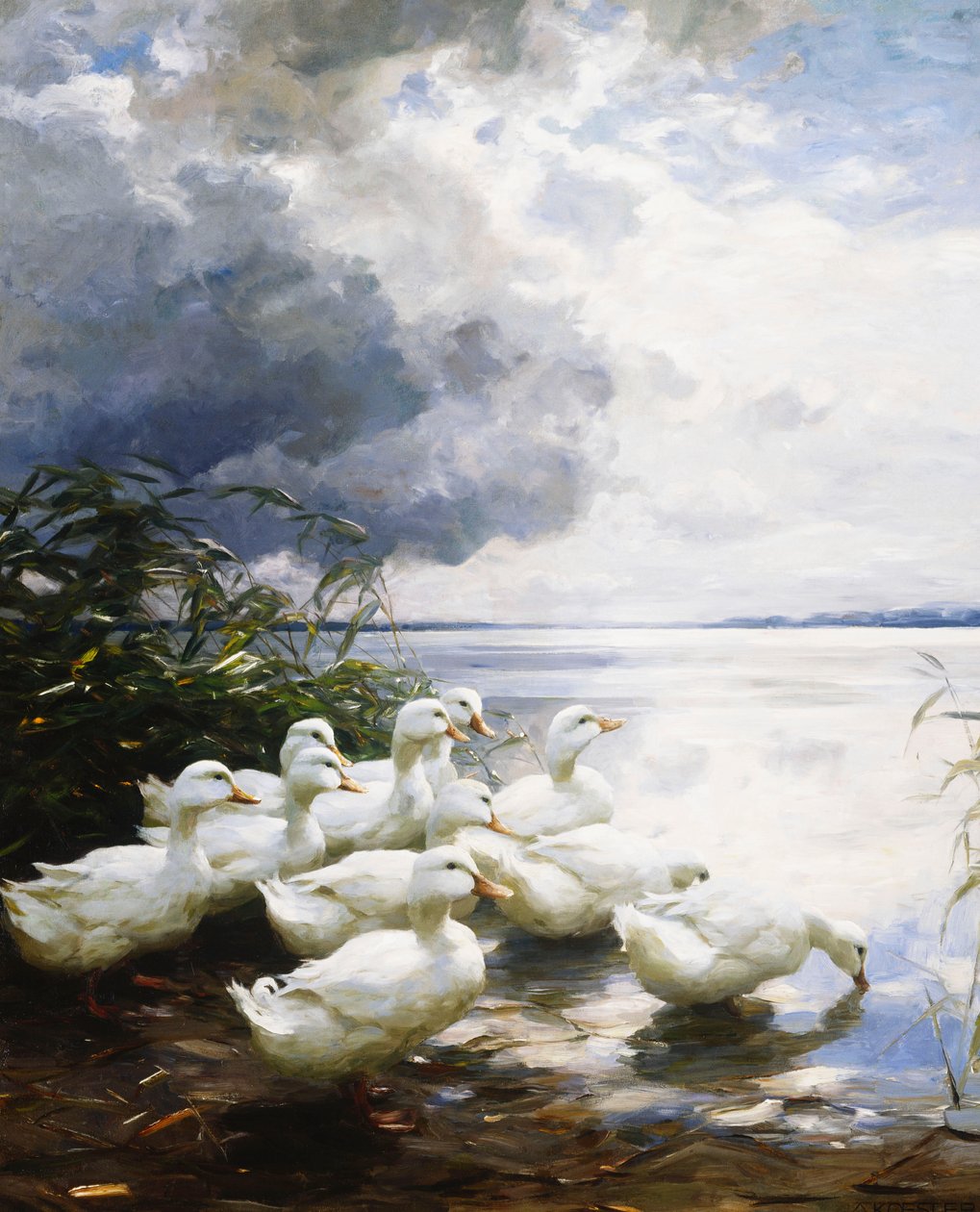 Gölün Kenarındaki Ördekler by Alexander Koester