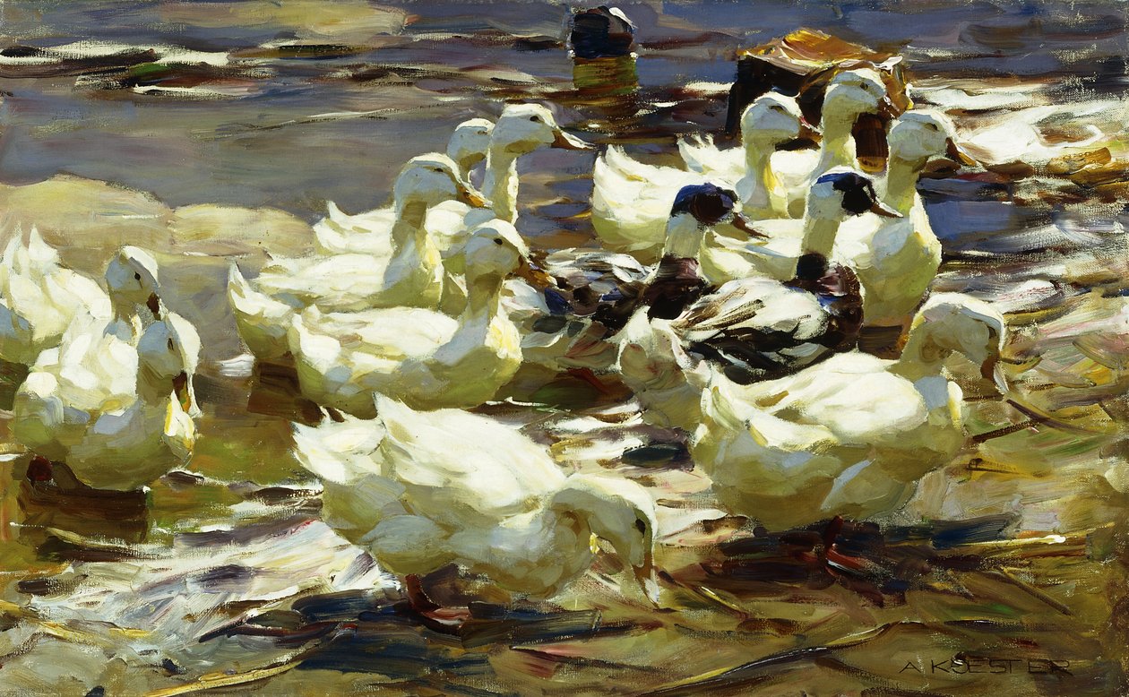 Göldeki Ördekler; havuzdaki ördekler by Alexander Koester