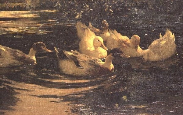 bir gölet üzerinde ördekler by Alexander Koester