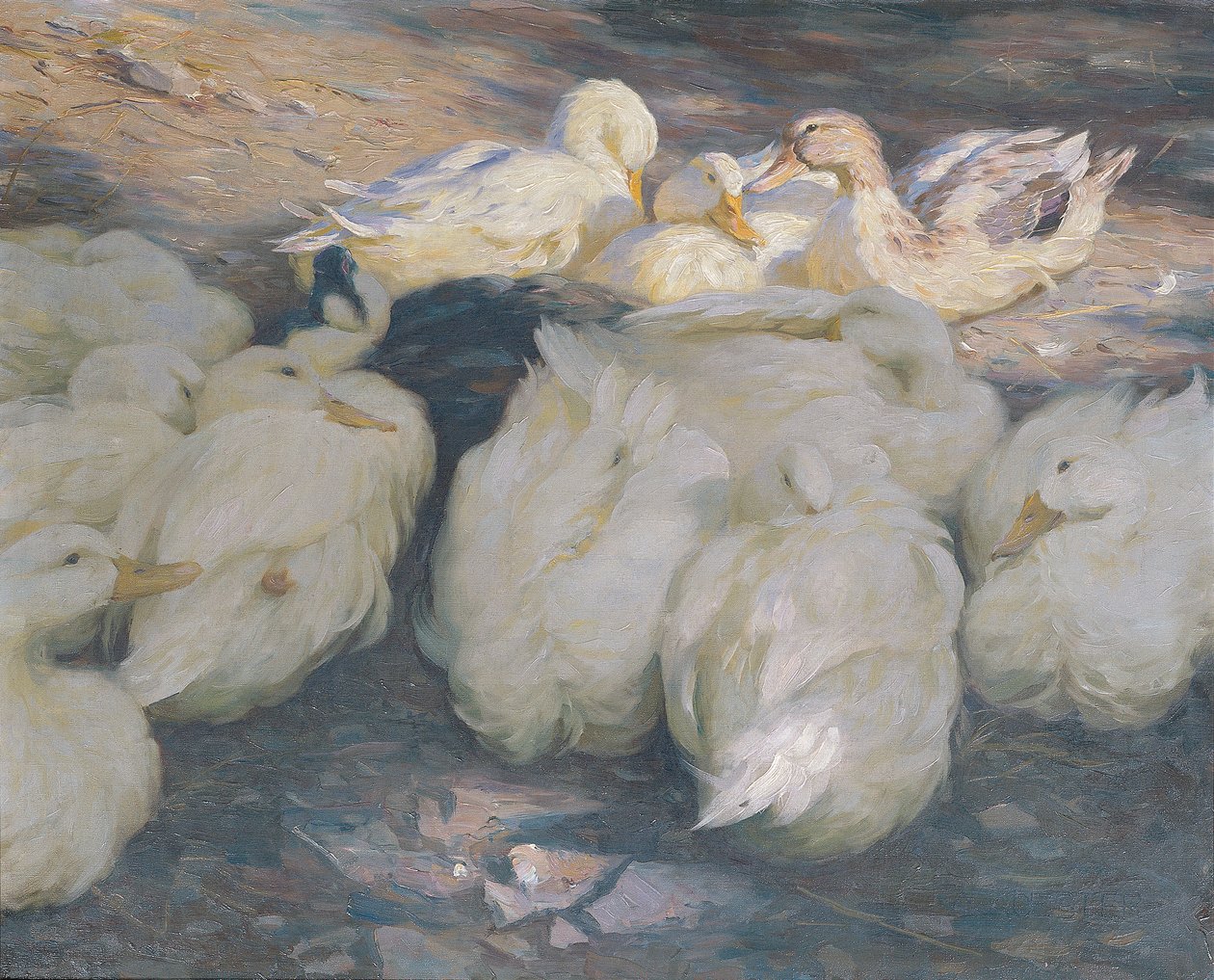akşam güneşinde by Alexander Koester