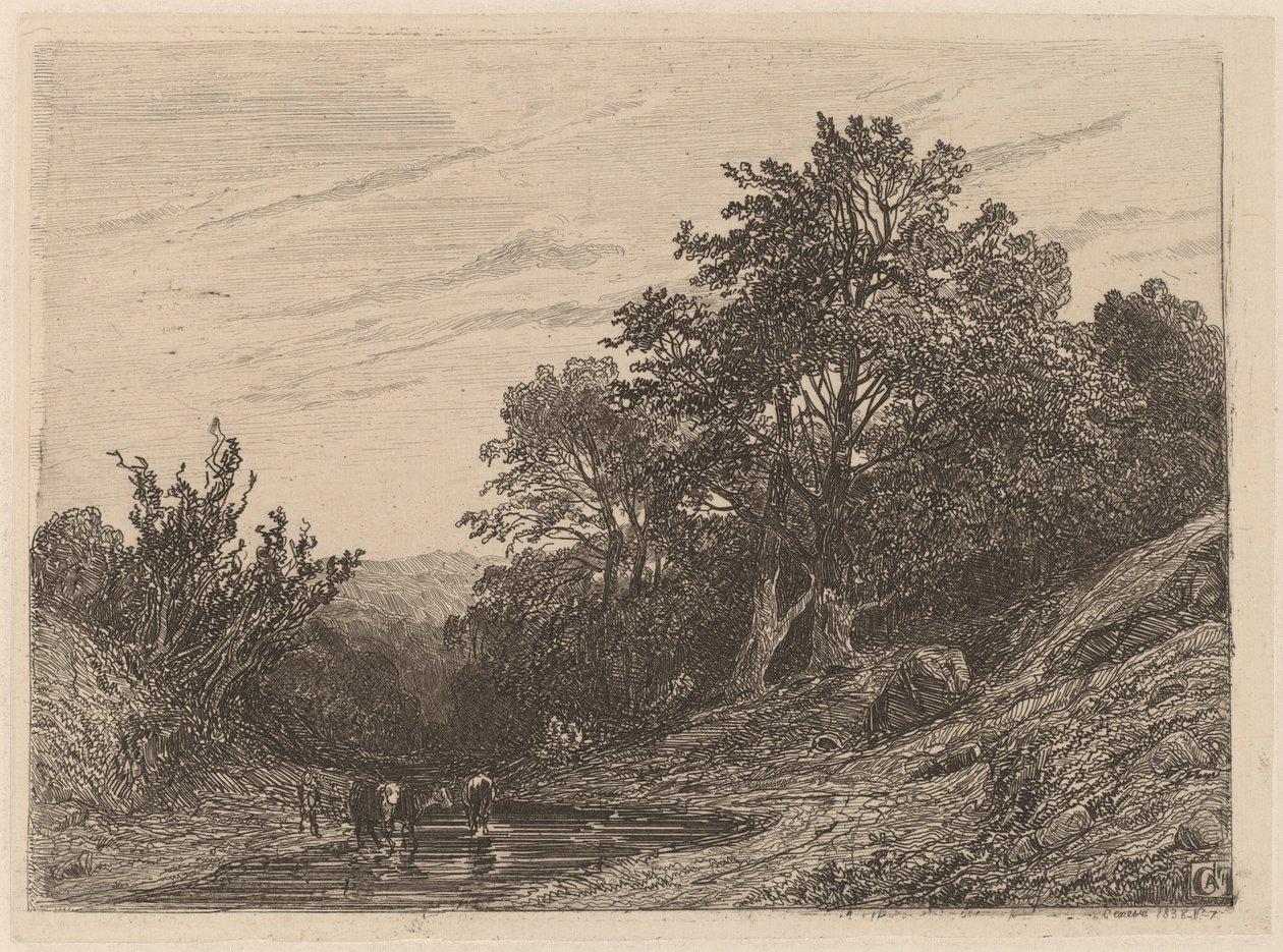 Bir Akışta Sürü by Alexandre Calame