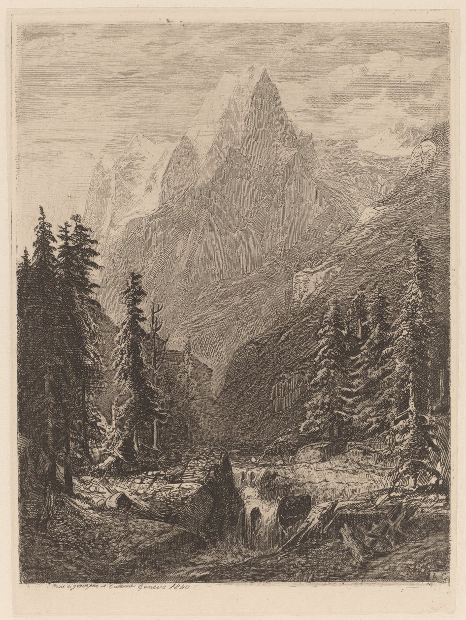 dağ çayırı by Alexandre Calame