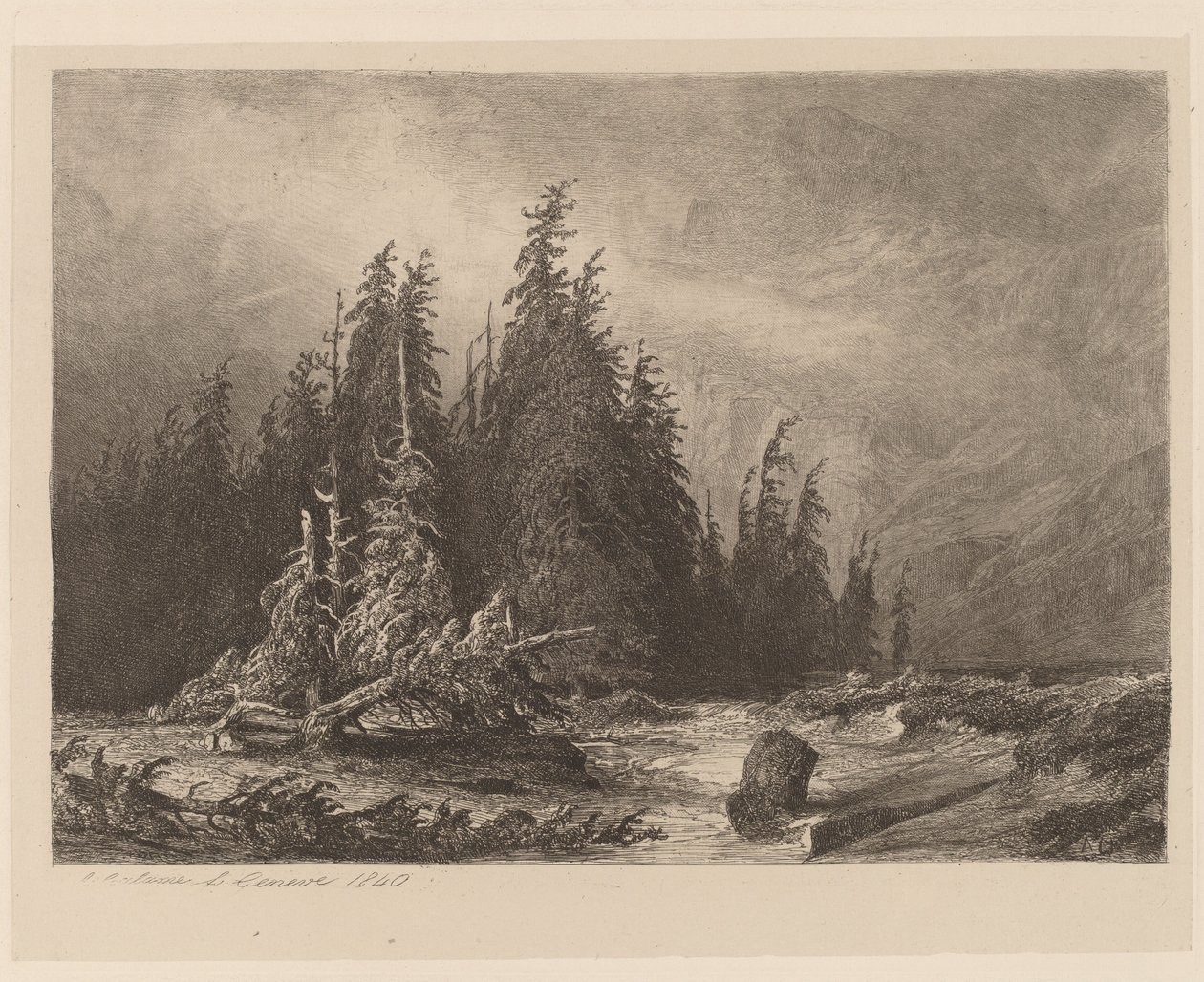 Dağ çamları by Alexandre Calame