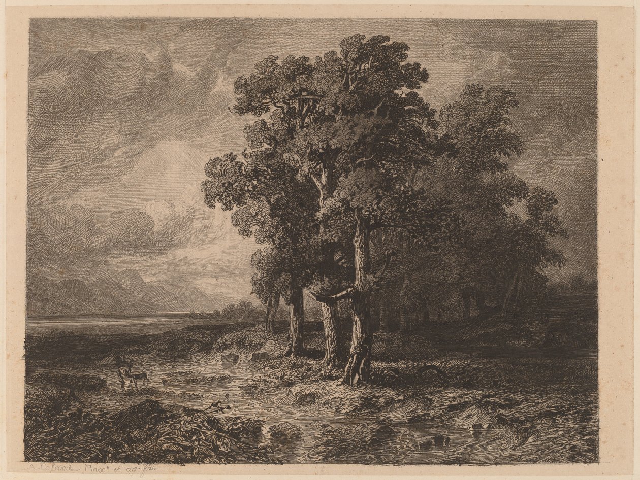 Fırtınada Ağaçlar by Alexandre Calame