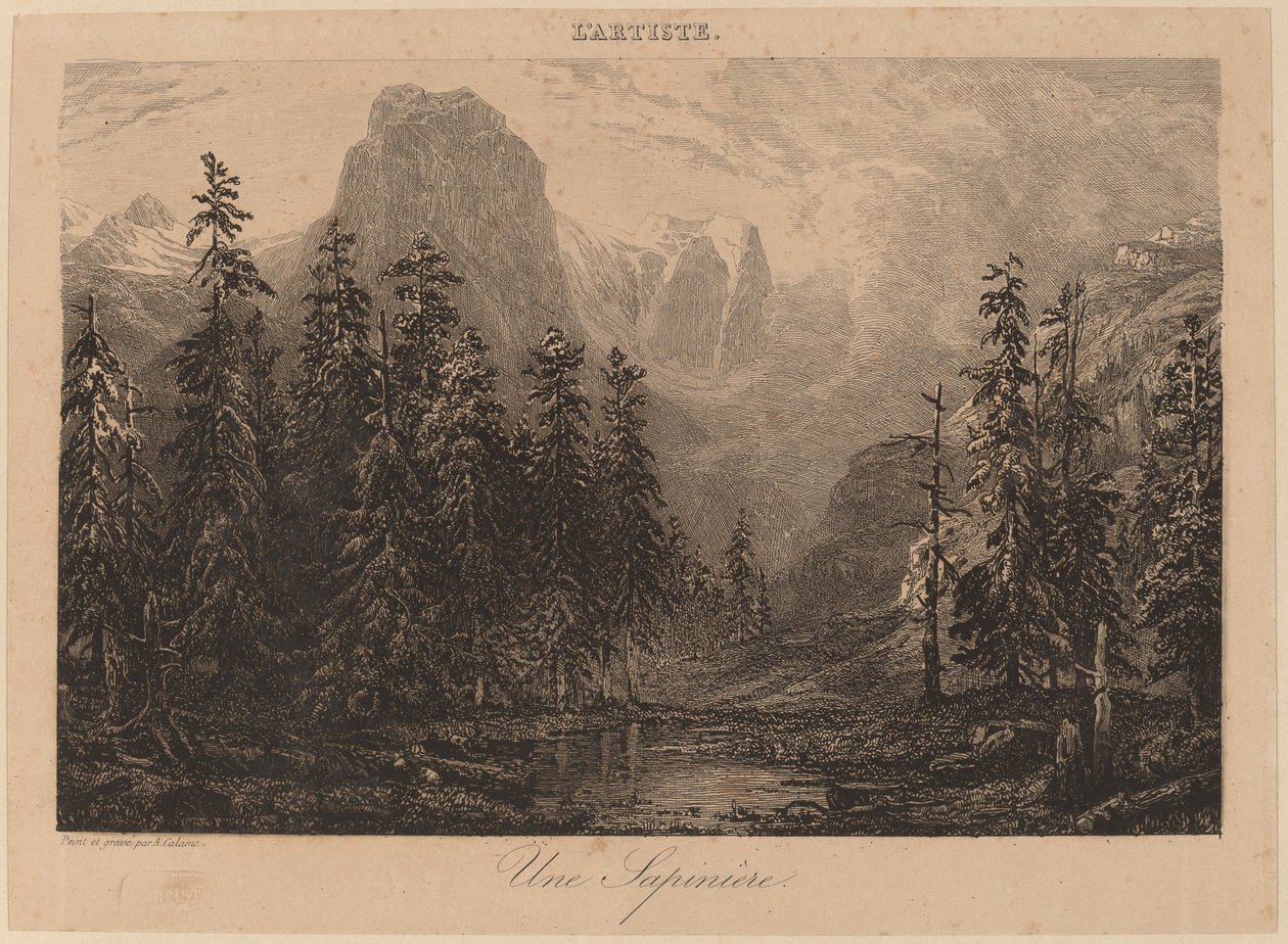 bir köknar ağacı by Alexandre Calame