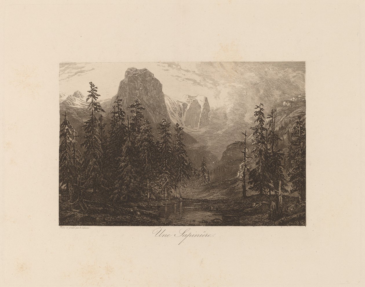 bir köknar ağacı by Alexandre Calame