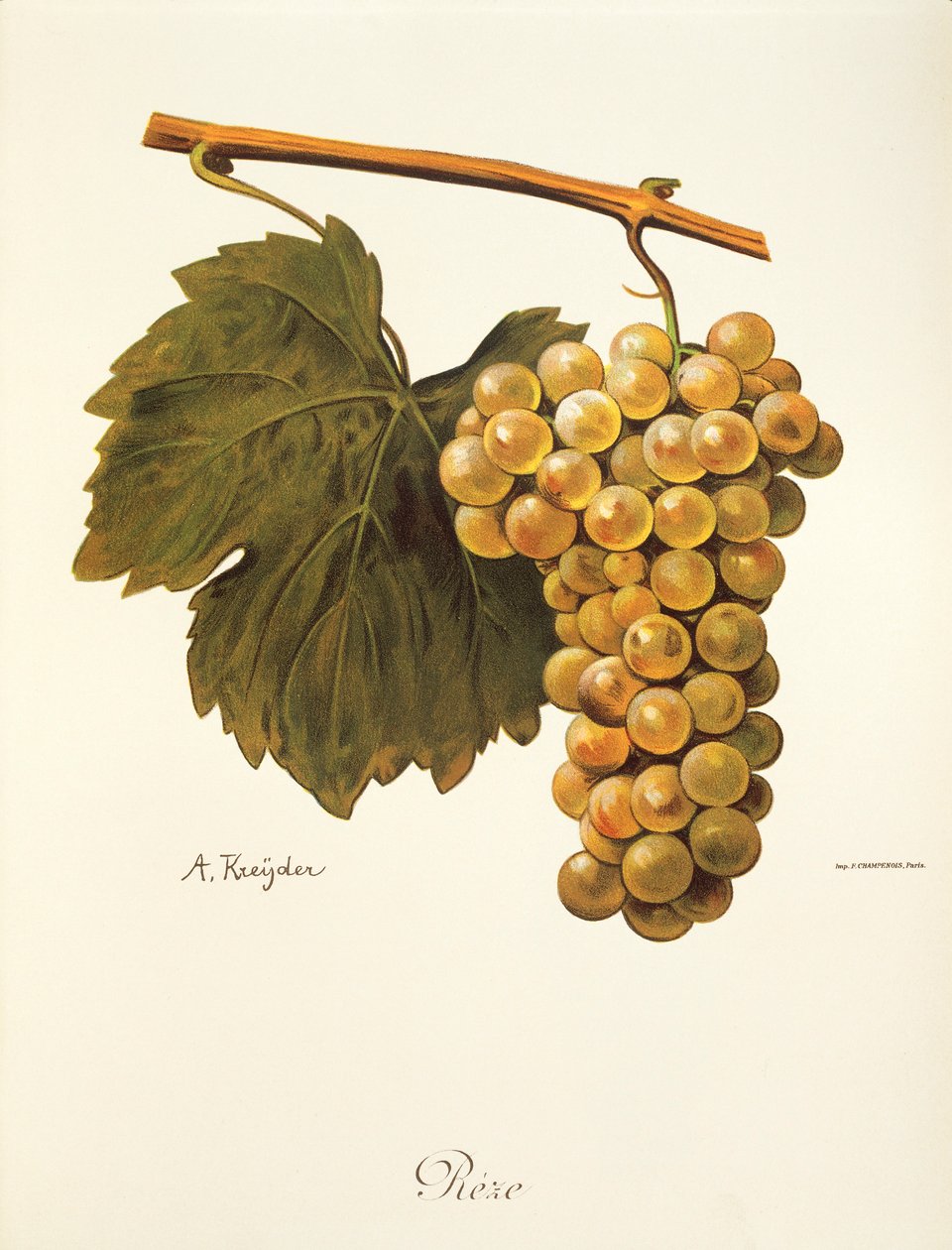 A. Kreyder
