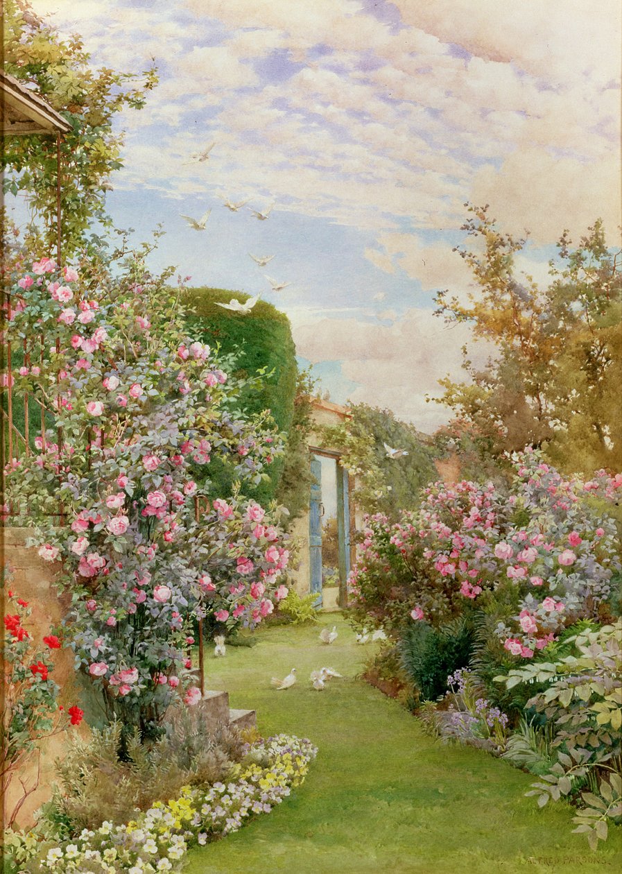 Çin Gülleri, Broadway by Alfred Parsons