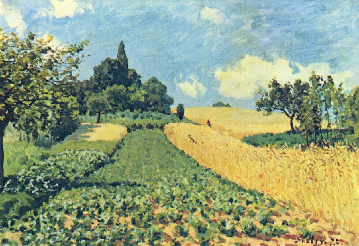Argenteuil tepelerinde tahıl tarlaları by Alfred Sisley