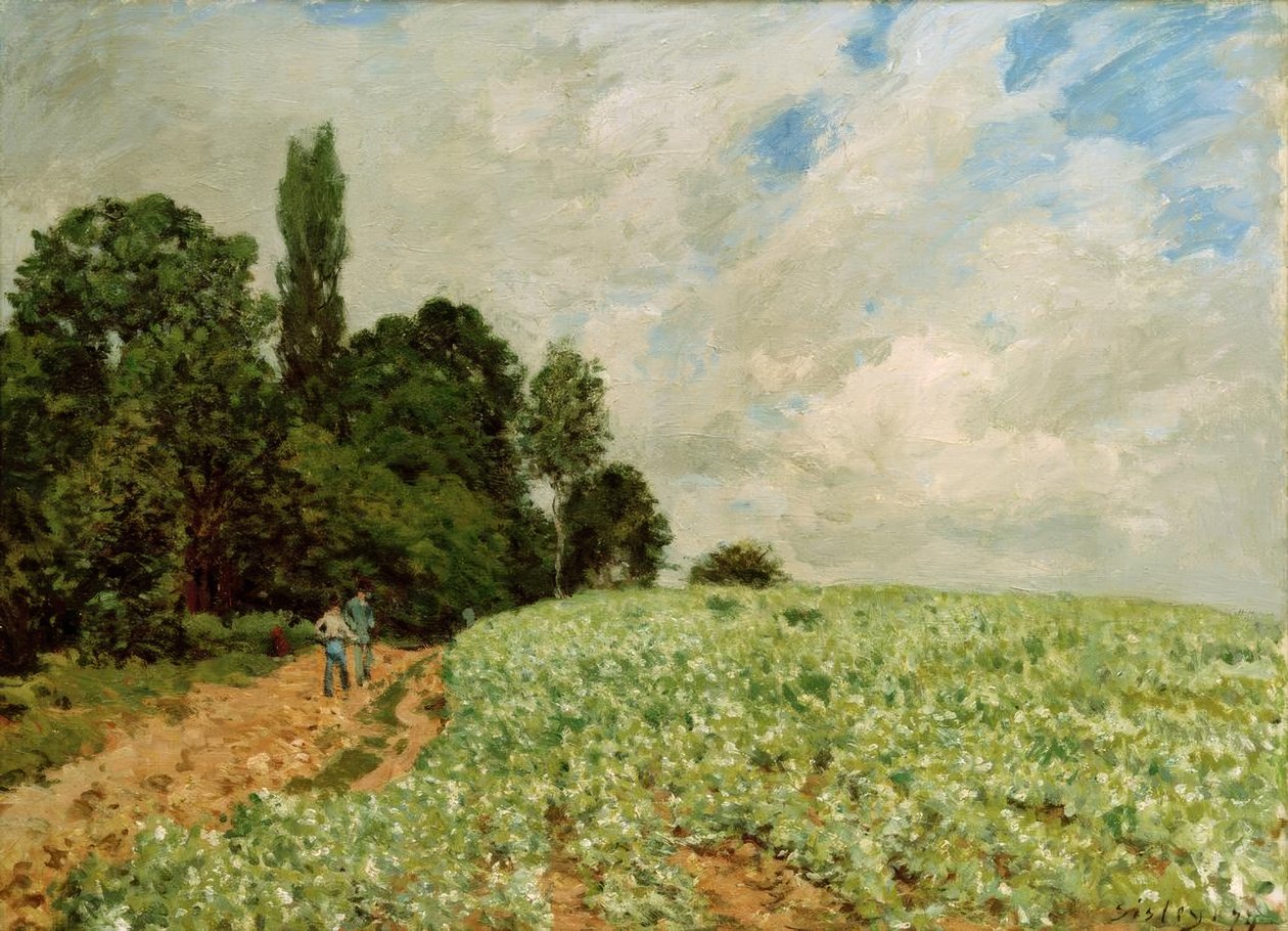 Yonca Tarlası by Alfred Sisley