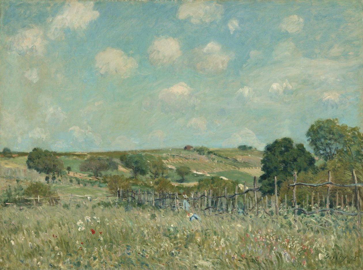 Çayır, 1875 by Alfred Sisley