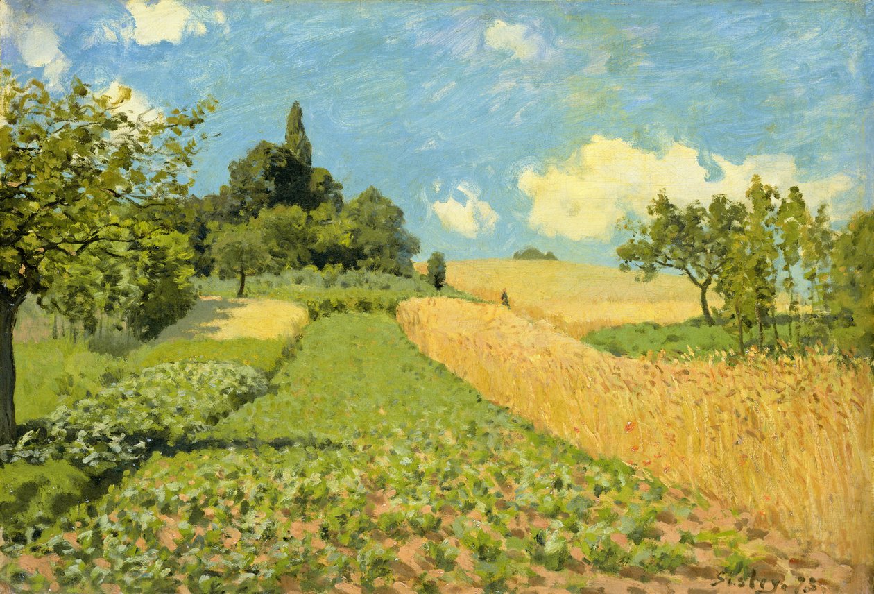 Mısır Tarlası (Argenteuil yakınında) by Alfred Sisley