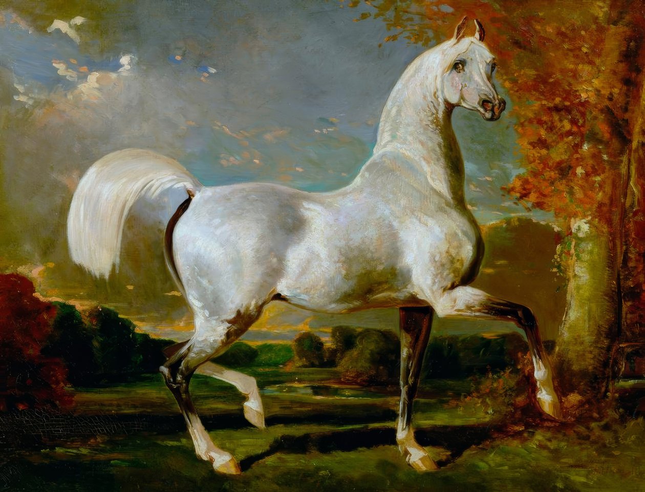 Arap aygırı by Alfred Dedreux