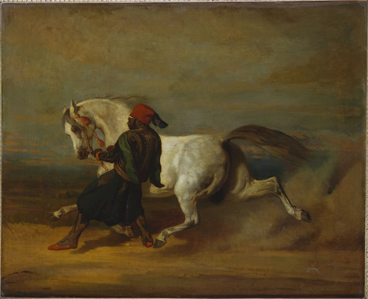 Paşa