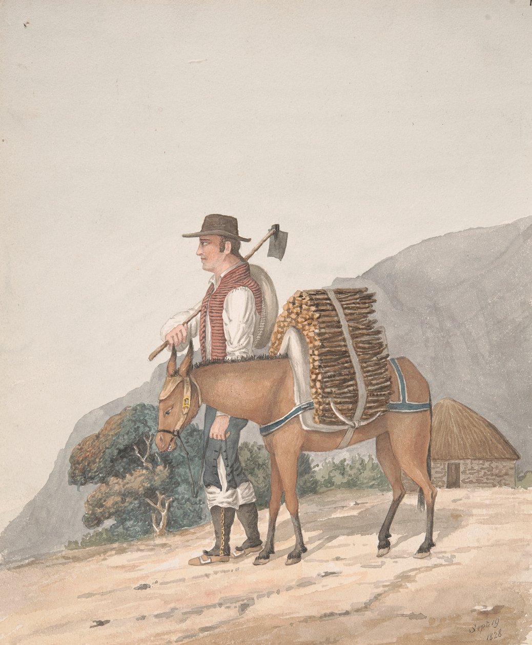 Yakacak Odun Satıcısı, Tenerife by Alfred Diston