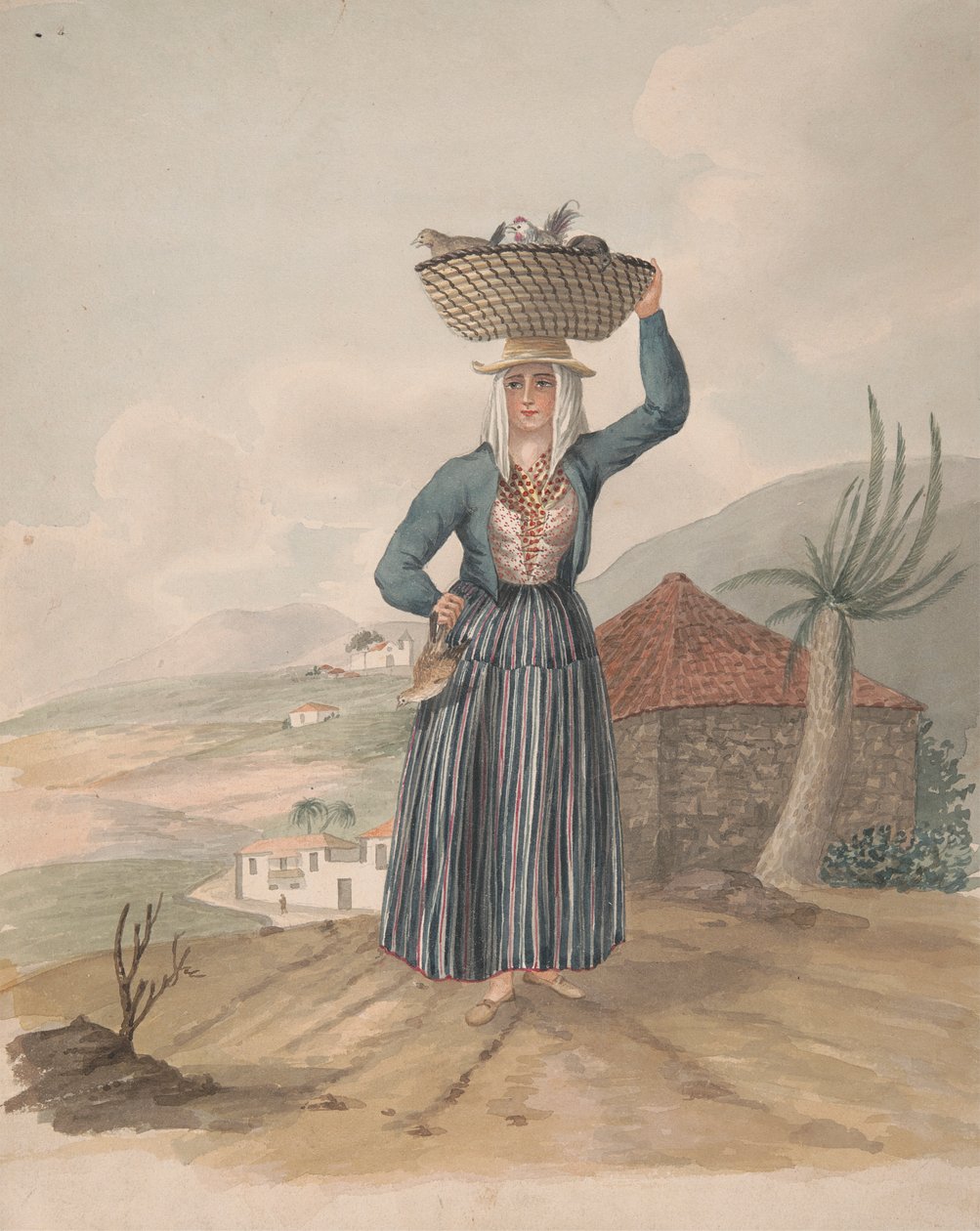 Victoria Kadını, Tenerife by Alfred Diston