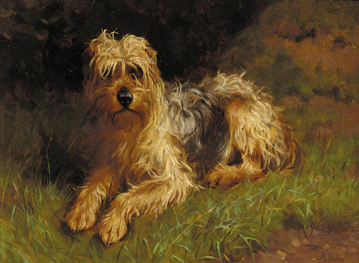 Yumuşak Kaplamalı Buğday Teriyeri by Alfred Duke