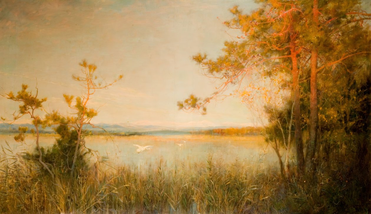 Reedy Mere ve Güneşli Tepeler, 1890-91. by Alfred Edward East