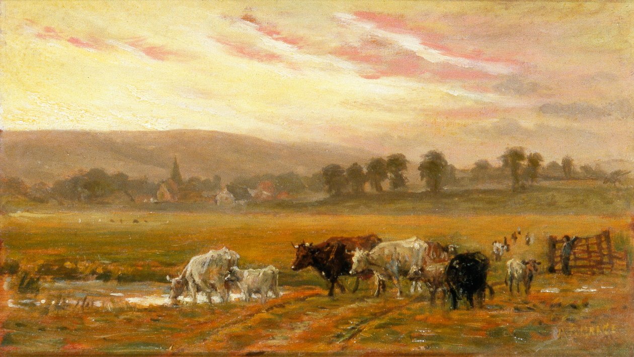  by Alfred Fitzwalter Grace