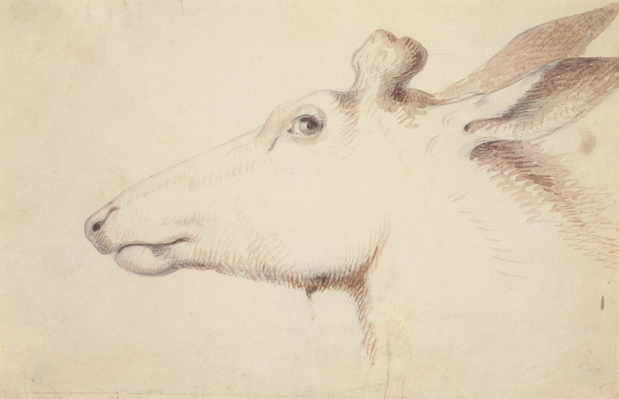 geyik. c.1837 (çizim) by Alfred Jacob Miller