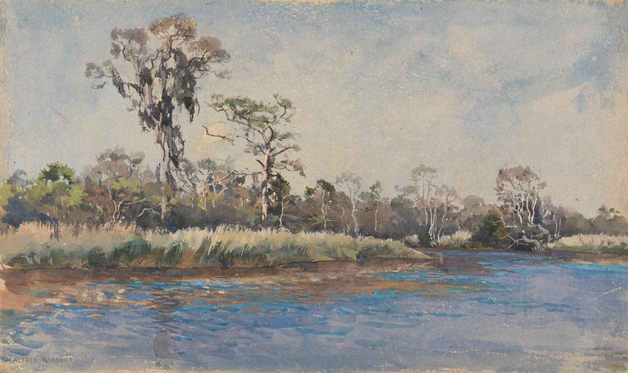 Wilmington, NC'de Bir Dere by Alfred Parsons