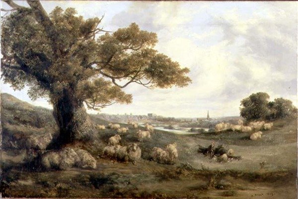 Norwich
