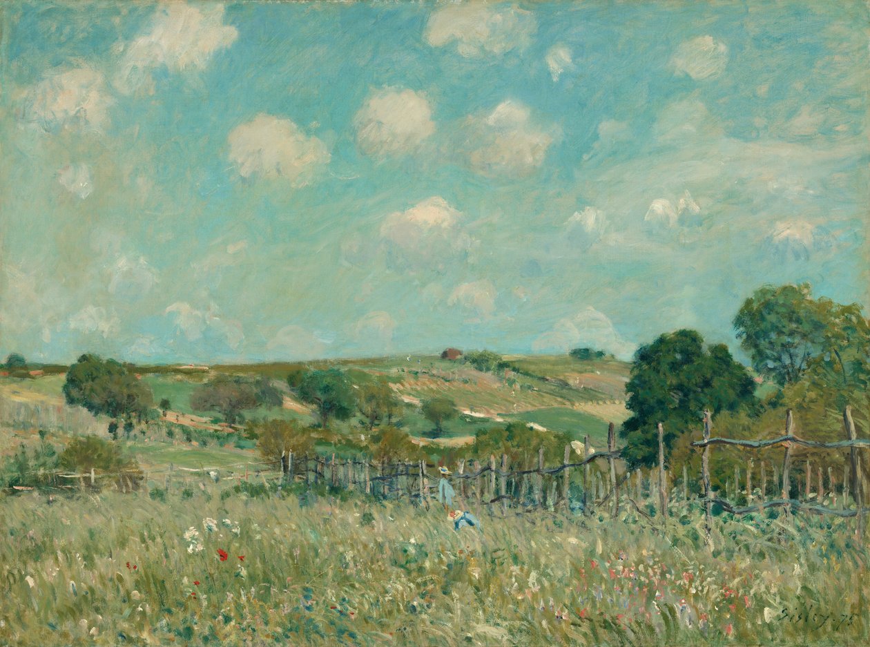 Çayır by Alfred Sisley