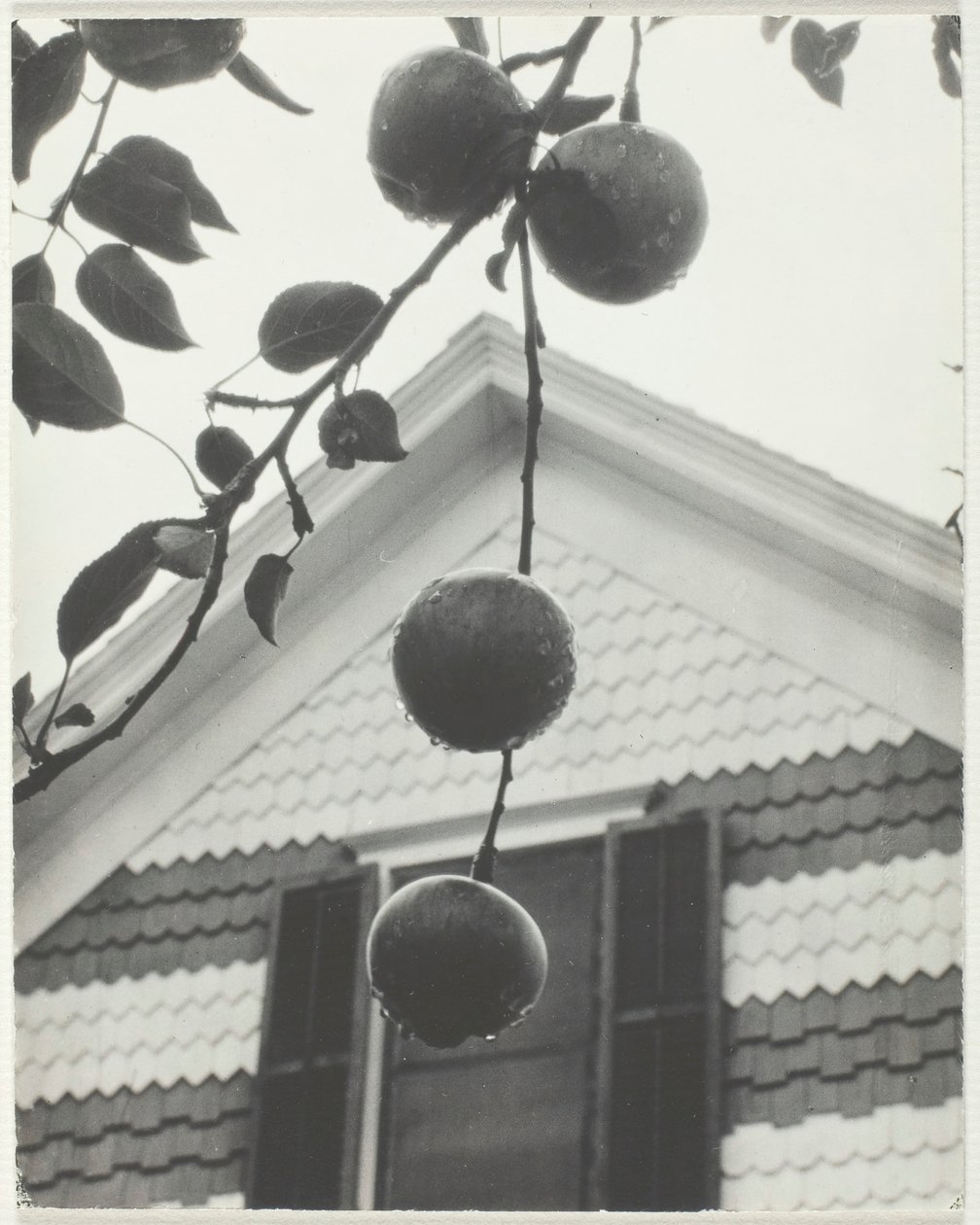 Gable ve Elmalar, 1922. by Alfred Stieglitz