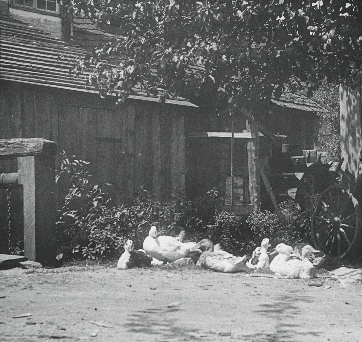 Gutach, 1894. by Alfred Stieglitz