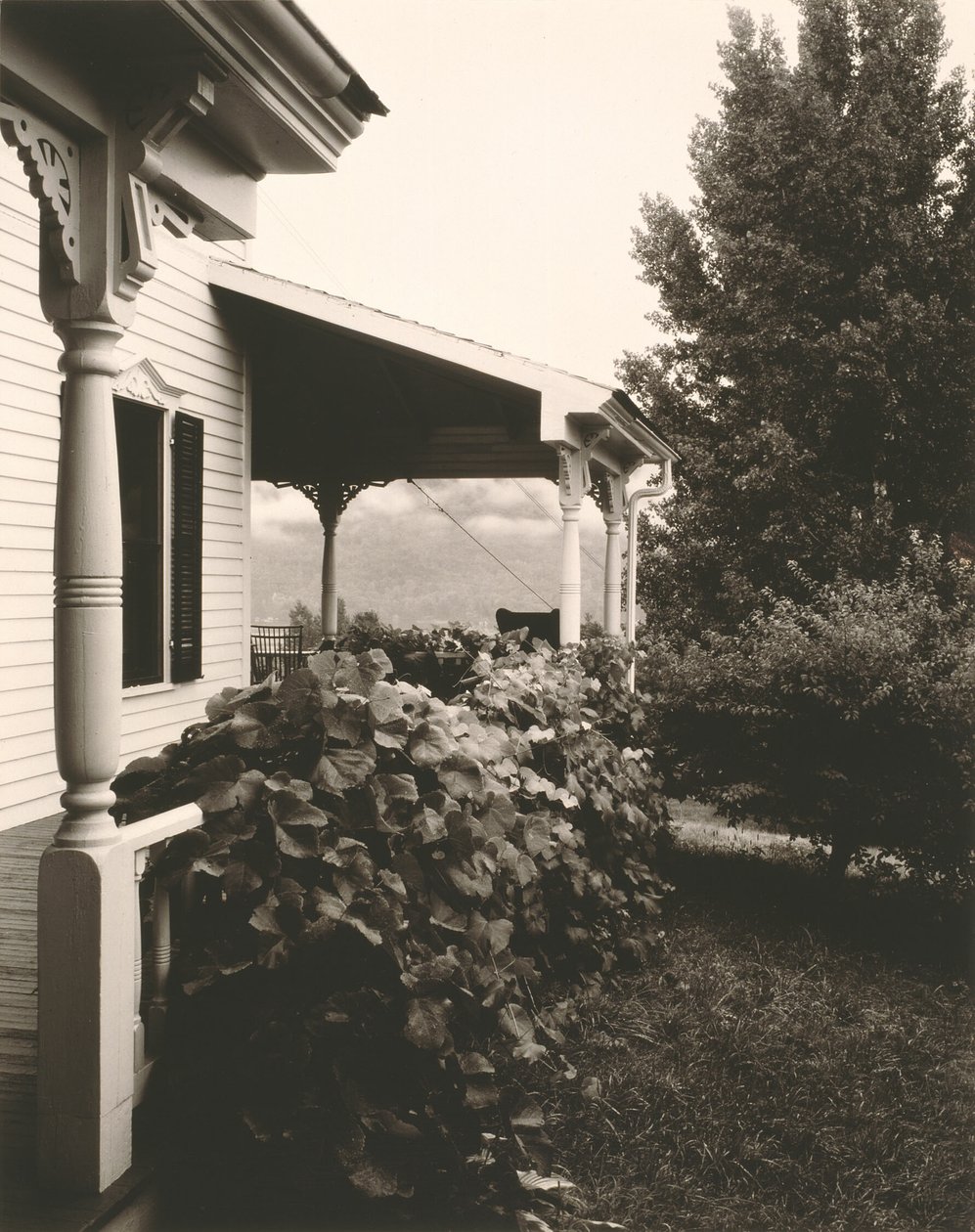  by Alfred Stieglitz