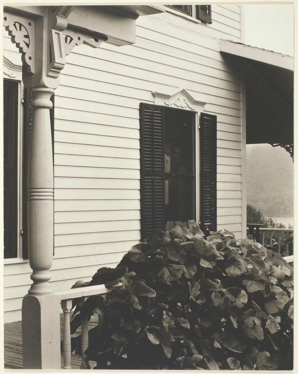 Ev ve Üzüm Yaprakları, 1934. by Alfred Stieglitz