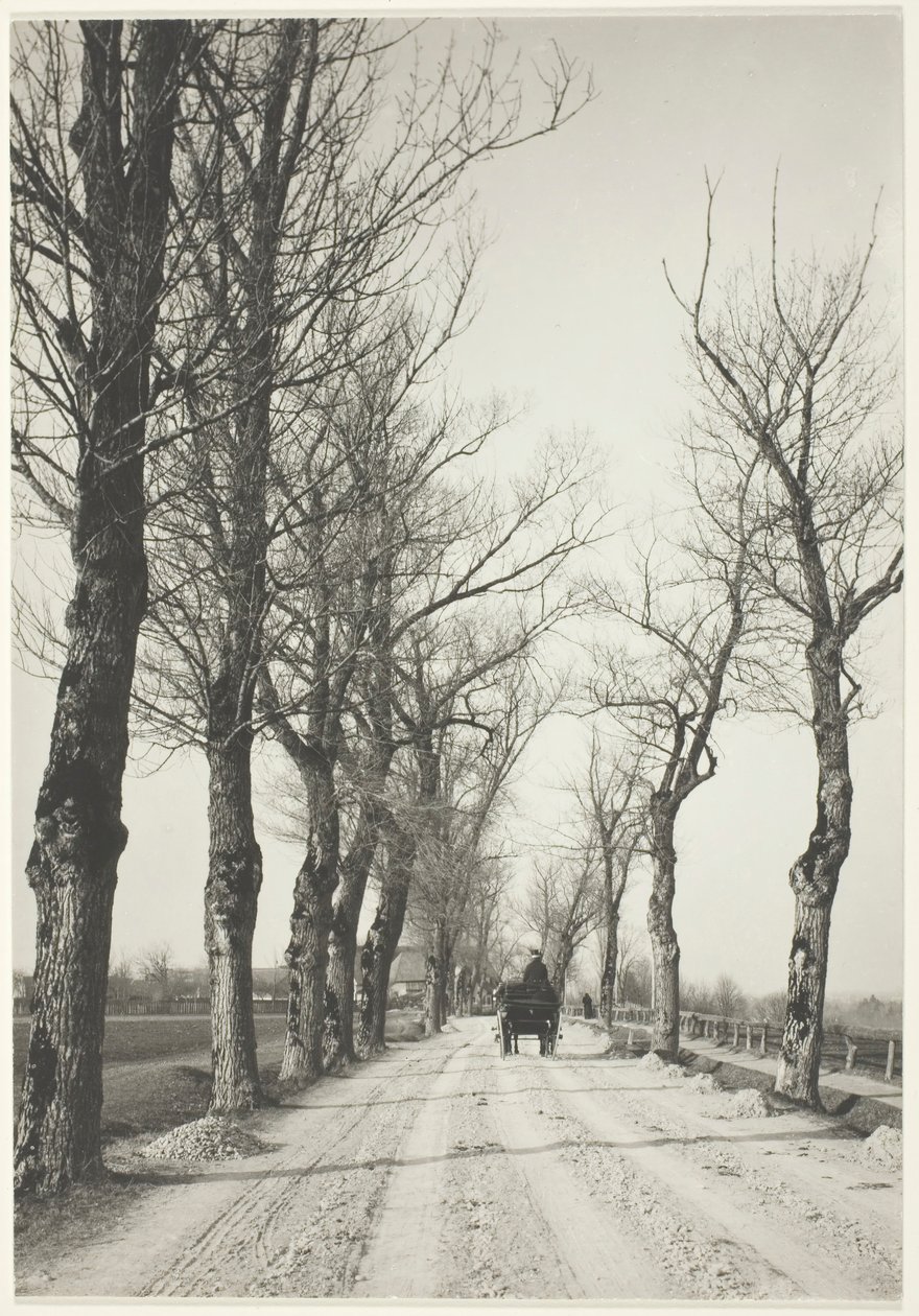 Kasım Günleri, 1887, 192039