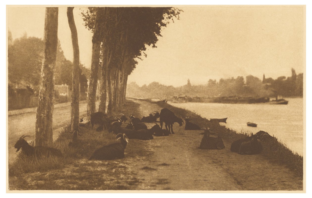  by Alfred Stieglitz