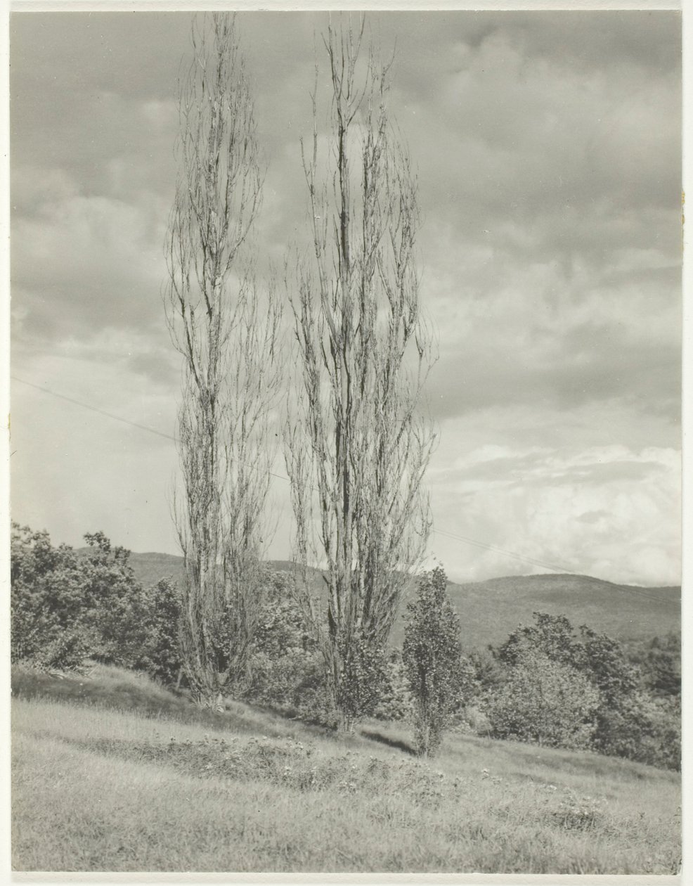 Kavaklar—George Gölü by Alfred Stieglitz