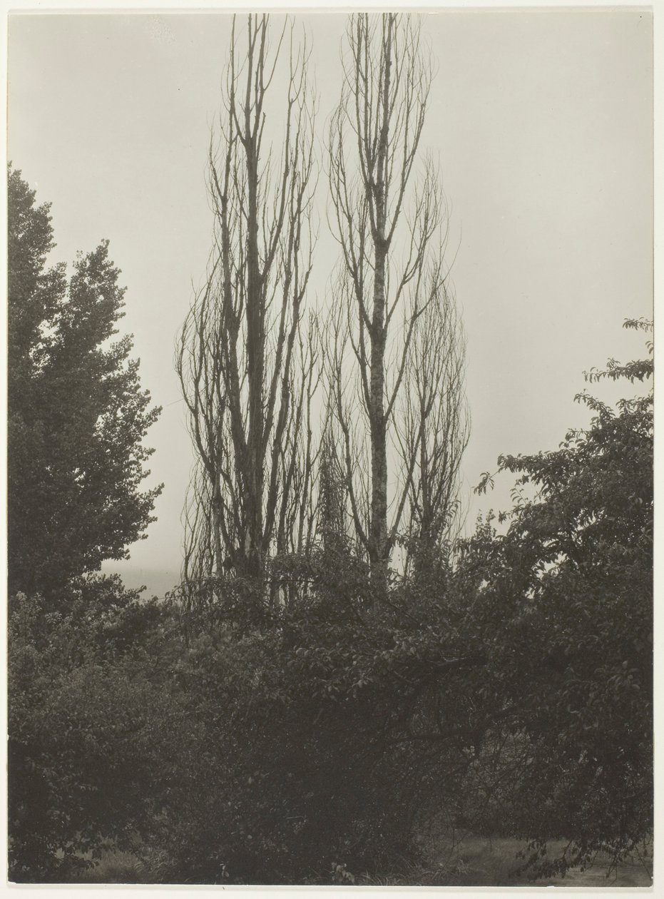 Kavak - George Gölü by Alfred Stieglitz
