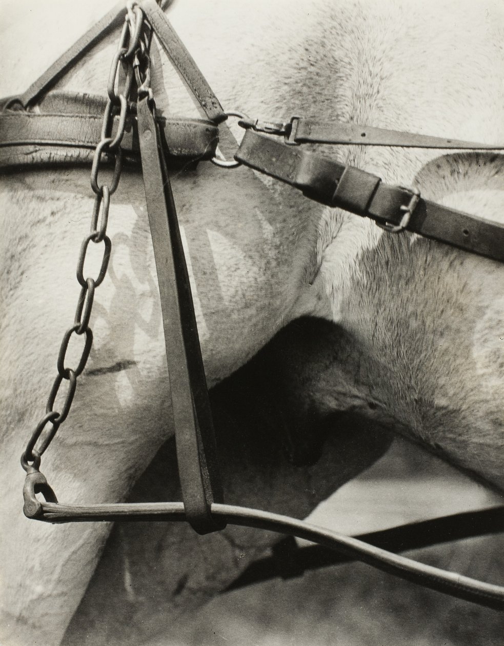 Spiritual America: Songs of the Sky A1 by Alfred Stieglitz