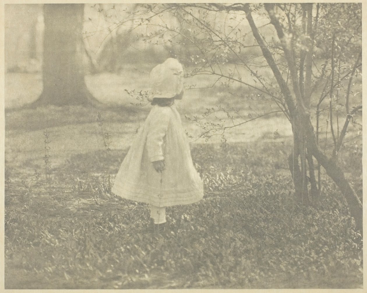 Bahar - Çocuk, 1901. by Alfred Stieglitz