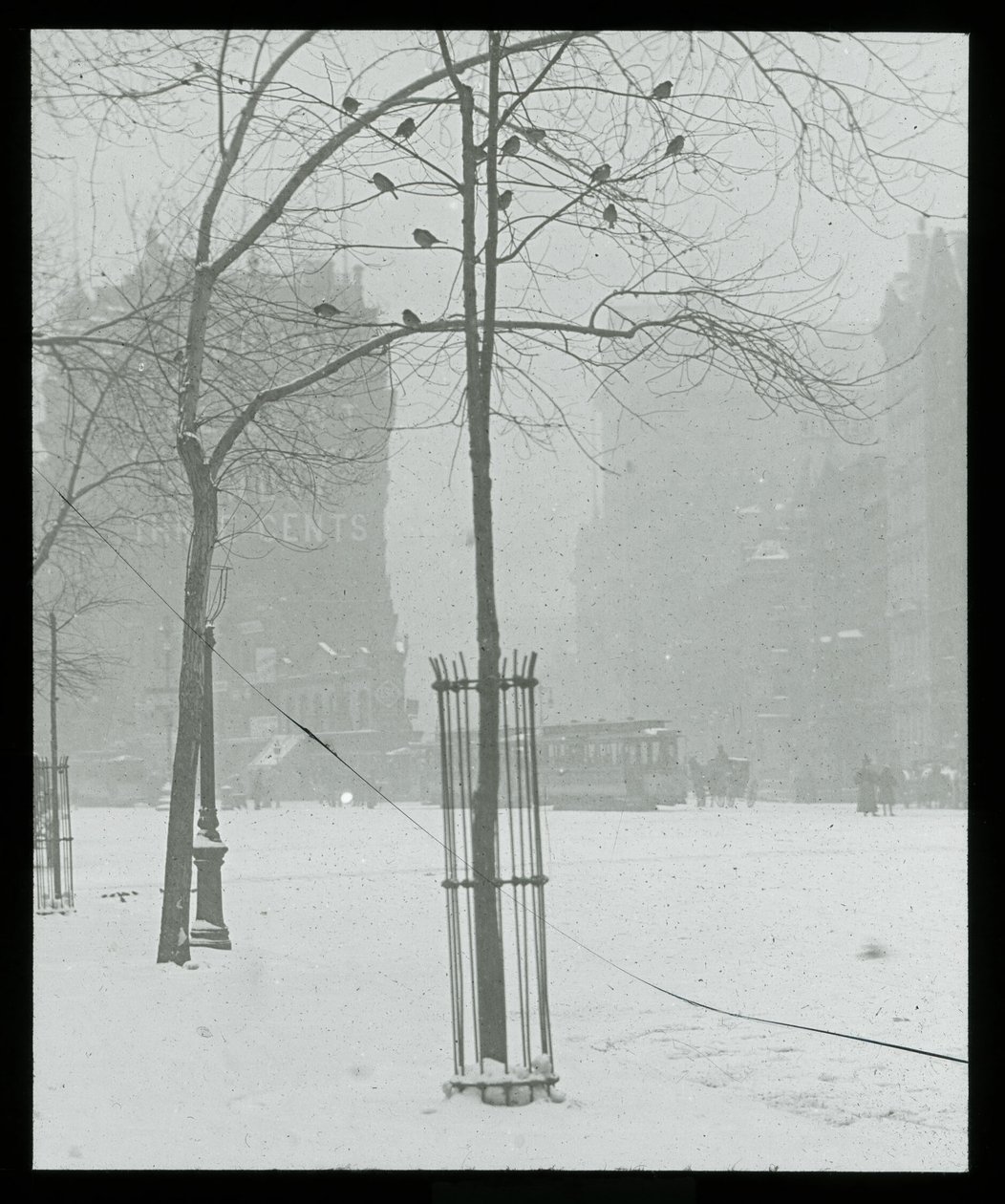  by Alfred Stieglitz