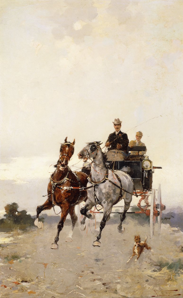 paça; tırısa by Alfredo Tominz