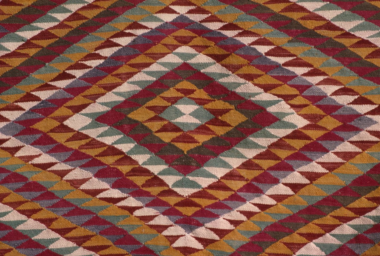 Mzab vadisinden halı (yün) (detay) by Algerian School